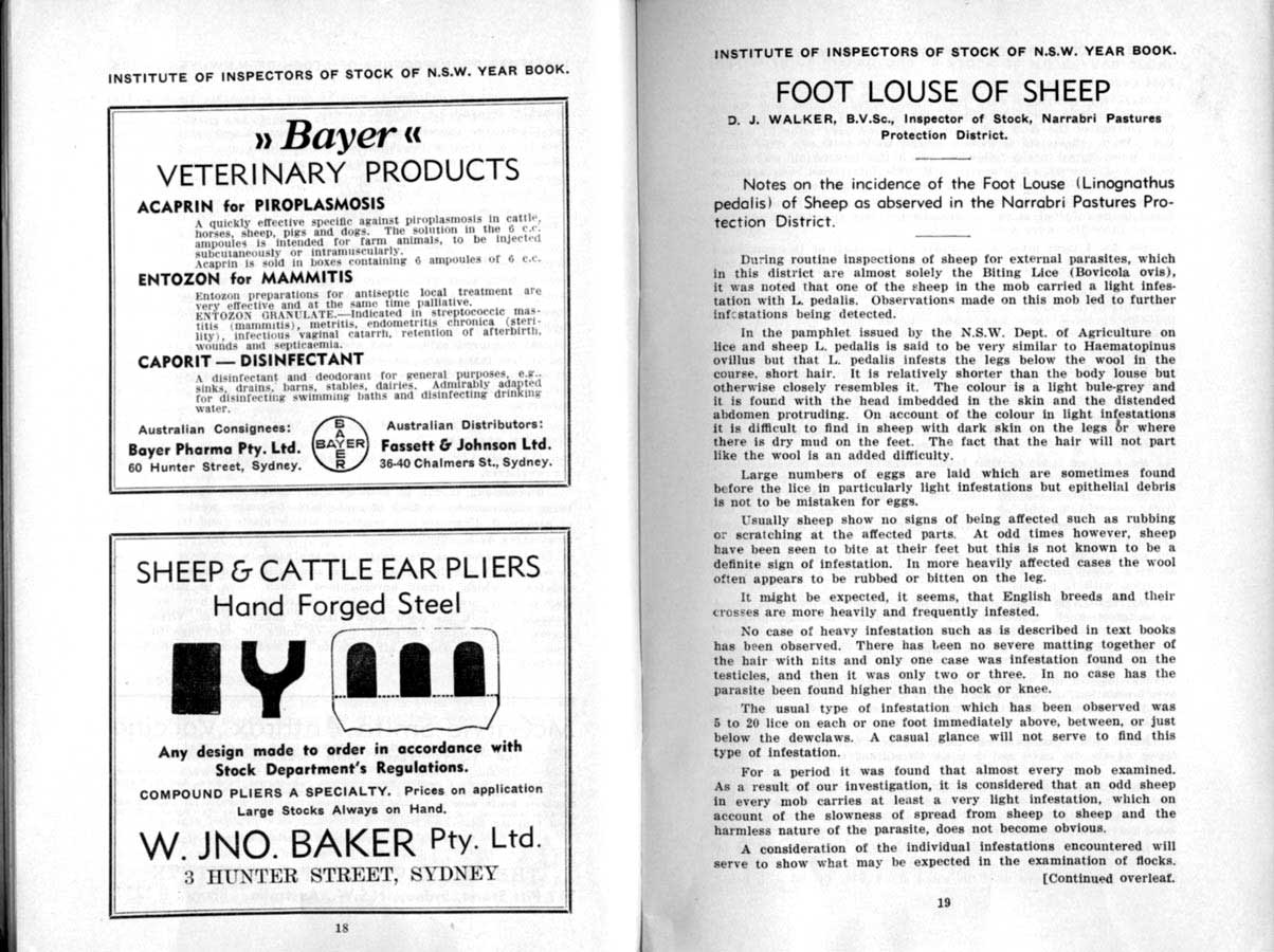 1938 Page 18 19
